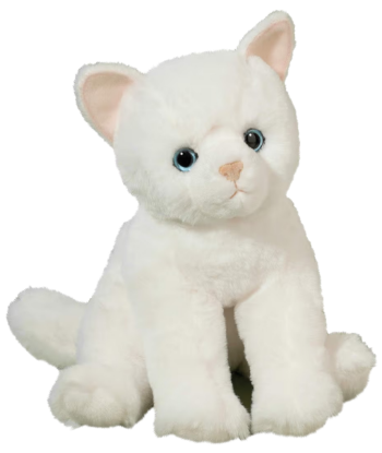 Picture of White Cat