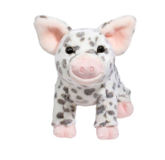 Picture of Spotted Pig