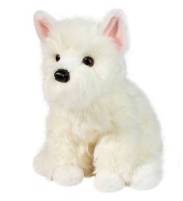 Picture of Walt Westie Puppy