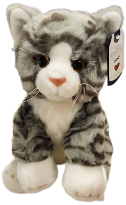 Picture of Grey Tabby Cat