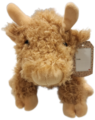 Picture of Highland Cow