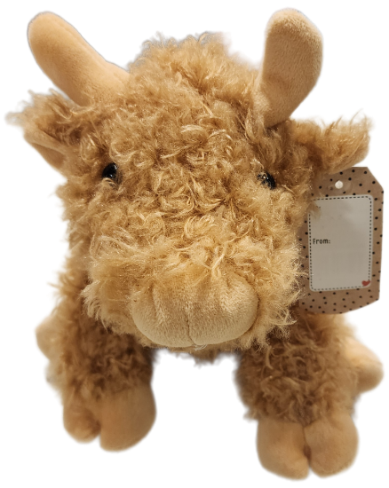 Picture of Highland Cow