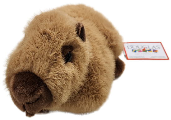 Picture of Chattie Capybara