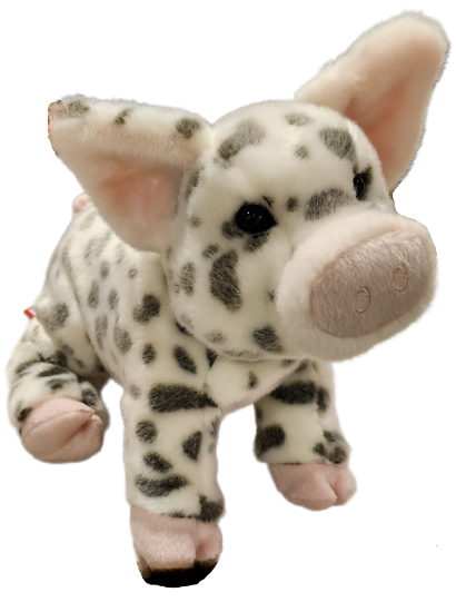 Picture of Pauline Spotted Pig