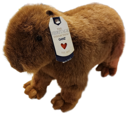 Picture of Capybara