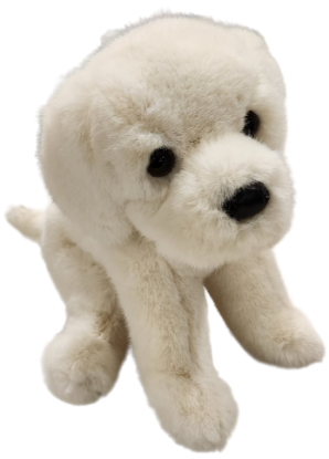 Picture of White Lab