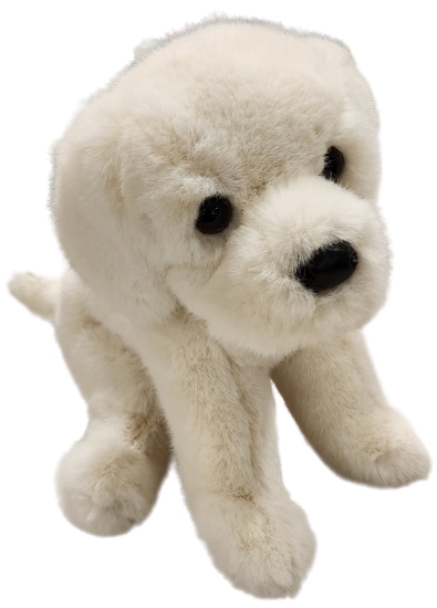 Picture of White Lab