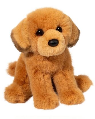 Picture of Golden Retriever