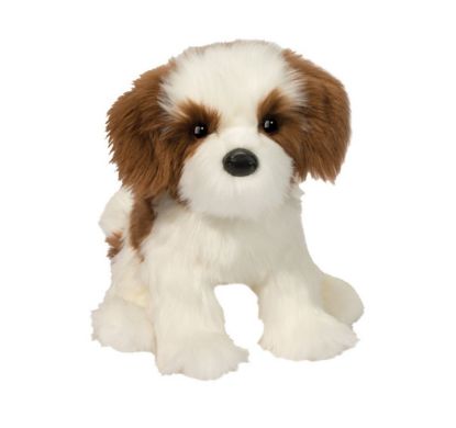 Picture of Shih-Tzu