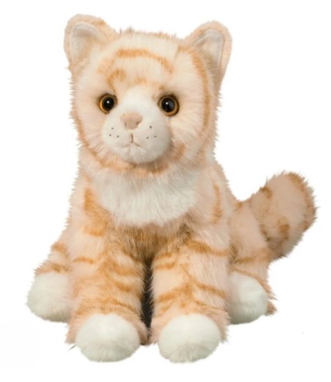 Picture of Orange Cat