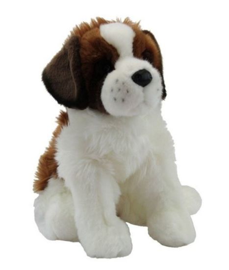Picture of St. Bernard