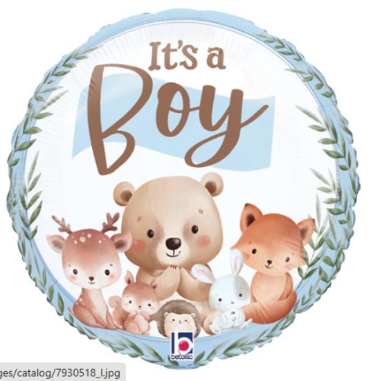 Baby Boy Woodland